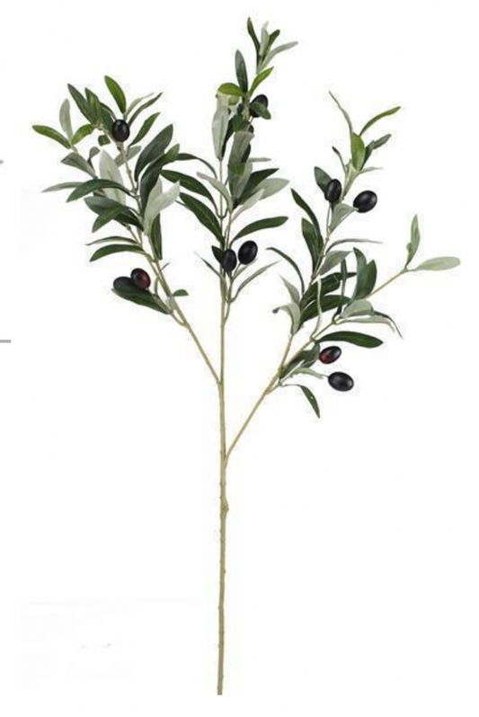 Olive Branch Stem Bundle