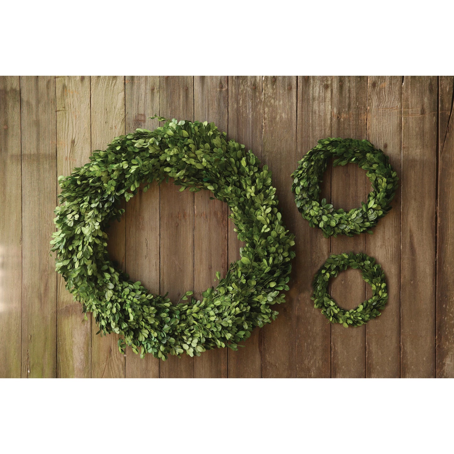 Mini Preserved Boxwood Wreath