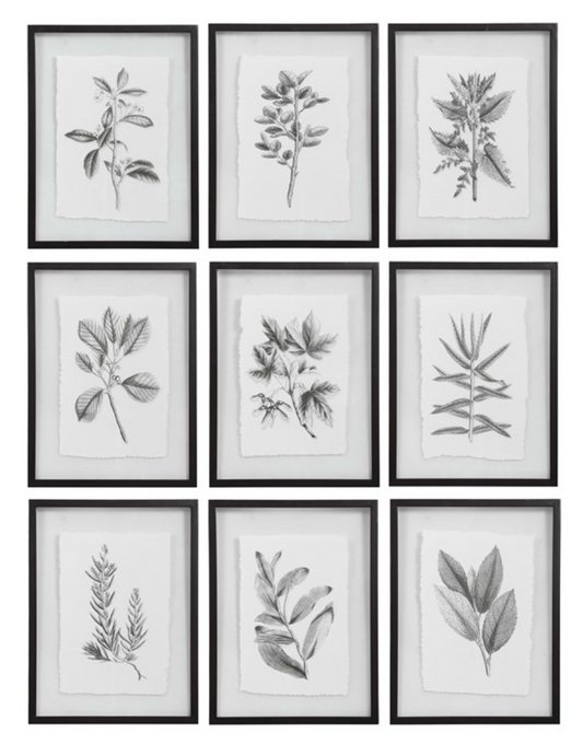 Florals Frames Prints, S/9