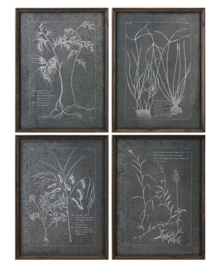 Root Study Framed Prints, S/4